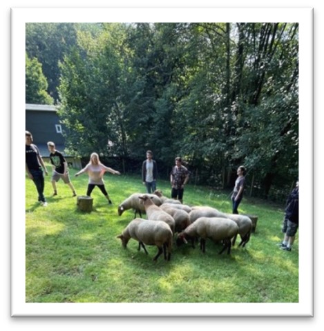 Azubi Teamevent Leadersheep